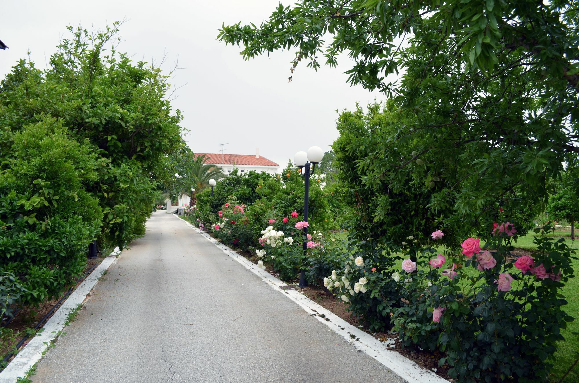 Olive Mansion Suites Marathón Dış mekan fotoğraf